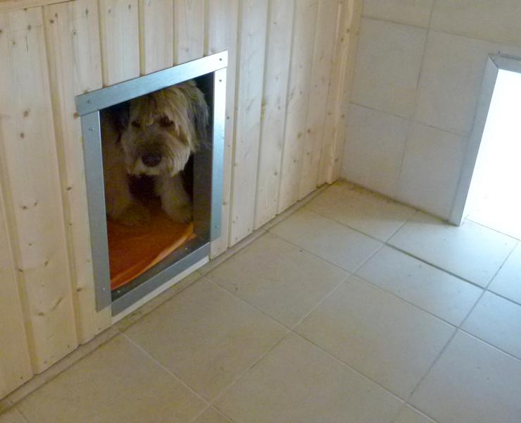 Kriterien für eine gute Hundeschule Hundepension und Hundeschule