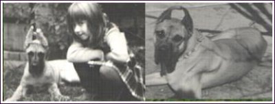 Fotos ca. 1977/78 doggenindobra