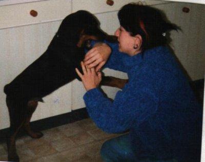 Rocky ein Rottweiler und eine Seele von Hund Rocky ein Rottweiler und eine Seele von Hund