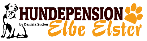 Hundepension Elbe Elster